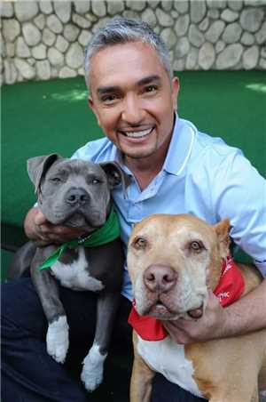 Download Cesar Millans Dog Whisperer game