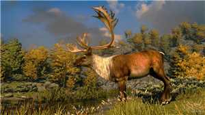 Download Cabelas North American Adventures  game