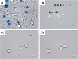 Download Dead Cell - Selective -  game