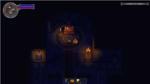 Download Graveyard Keeper Collectors Edition-DARKSiDERS game