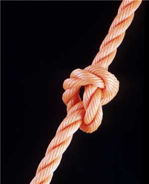 Download Knot game