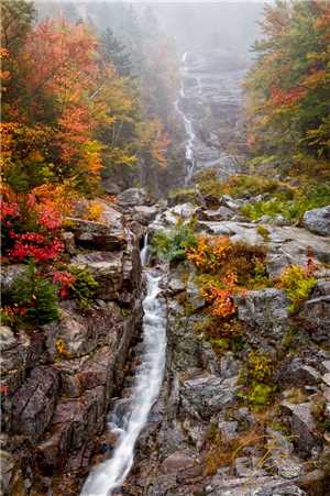 Download Vertical Fall game