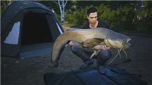 Download Euro Fishing Le lac dor-CODEX game