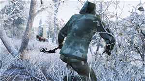 Download Hunting Simulator-CPY game