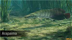 Download Ultimate Fishing Simulator Amazon River Update v2 10 2 469-CODEX game