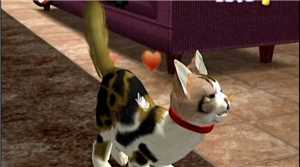 Download Wii Games Multi6 Sim Purr Pals SurvivalofMisa game