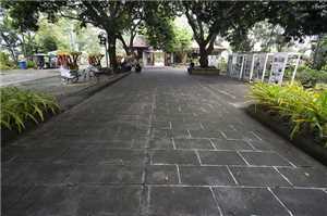 Download Pathway-PLAZA game