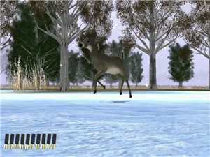 Download Canada Hunt game