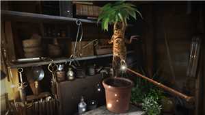 Download Fantastic Beasts and Where to Find Them VR Experience game