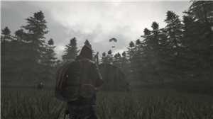 Download Last Survivor - Deluxe Edition game