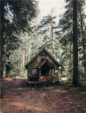 Download My Cabin And I game