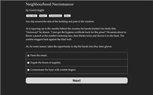 Download Neighbourhood Necromancer game