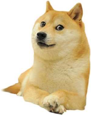 Download rooMaze-DOGE game