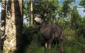 Download The Hunter 2012 game