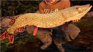 Download Fishing Sim World Jezioro Bestii-HOODLUM game