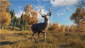 Download theHunter Call of the Wild 2019 Edition Update v1 33 incl DLC-CODEX game