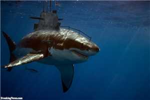 Download SUBS: Sharks And Submarines game