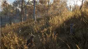 Download theHunter: Call of the Wild New Species-Black Box game