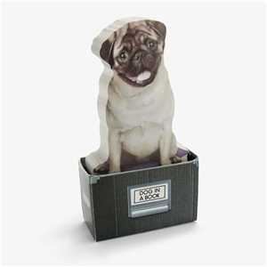Download Dog In A Box game