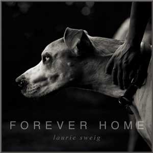Download Forever Home game