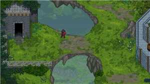 Download Tangledeep game